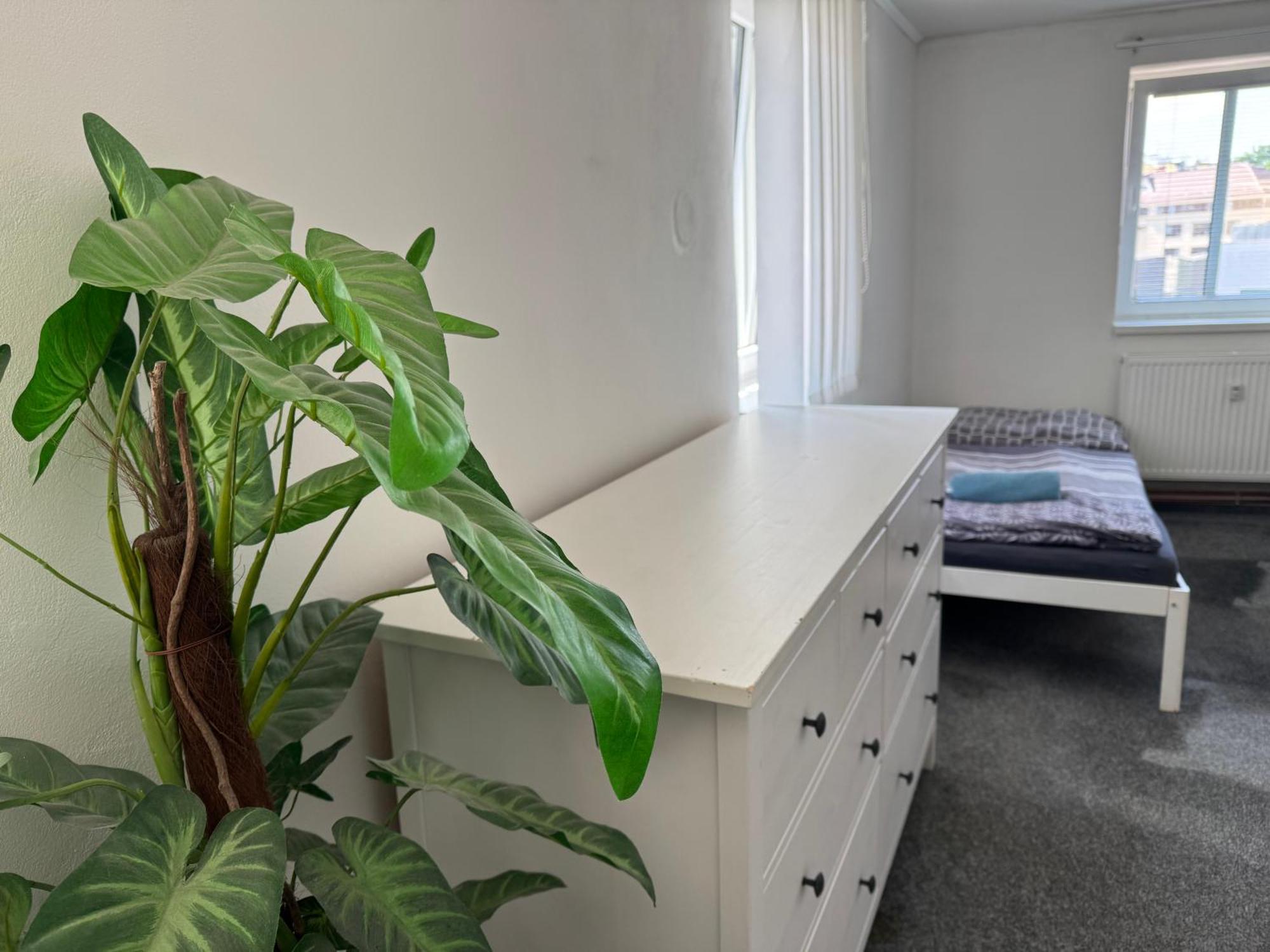 Old Town Apartments R11 Оломоуц Екстер'єр фото